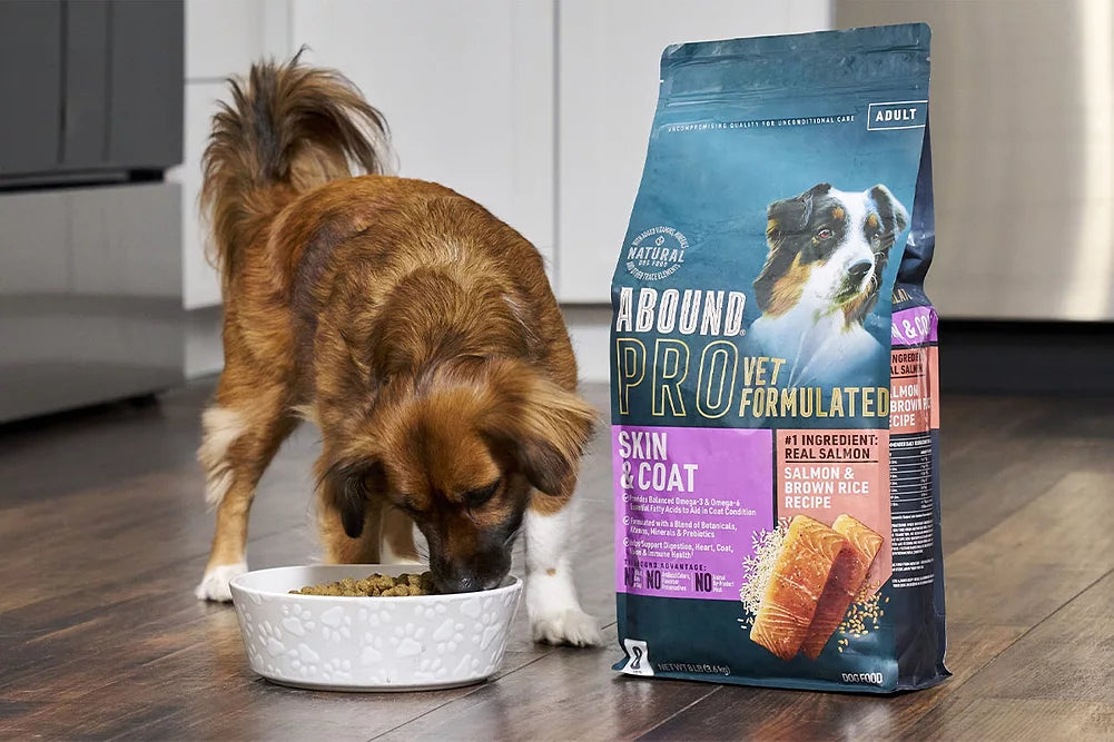 Pet Dog Food Premium