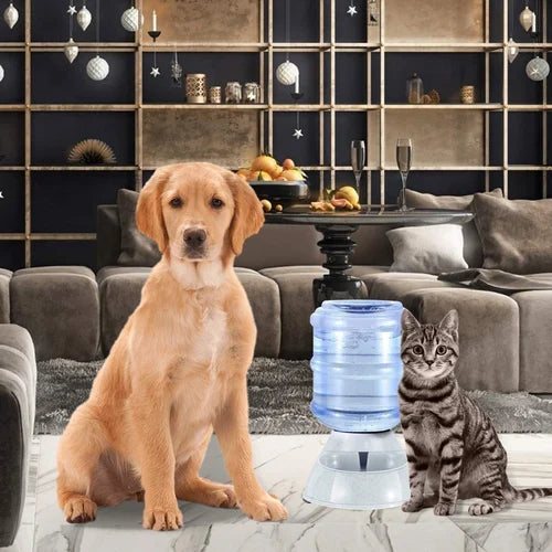 Pet Water Dispenser